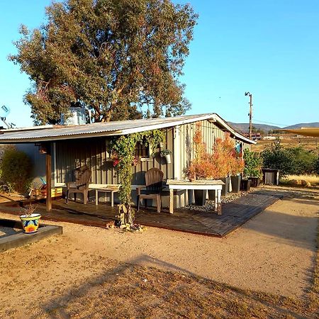 Finca Vidandrei Casa Eucalipto Valle de Guadalupe Esterno foto