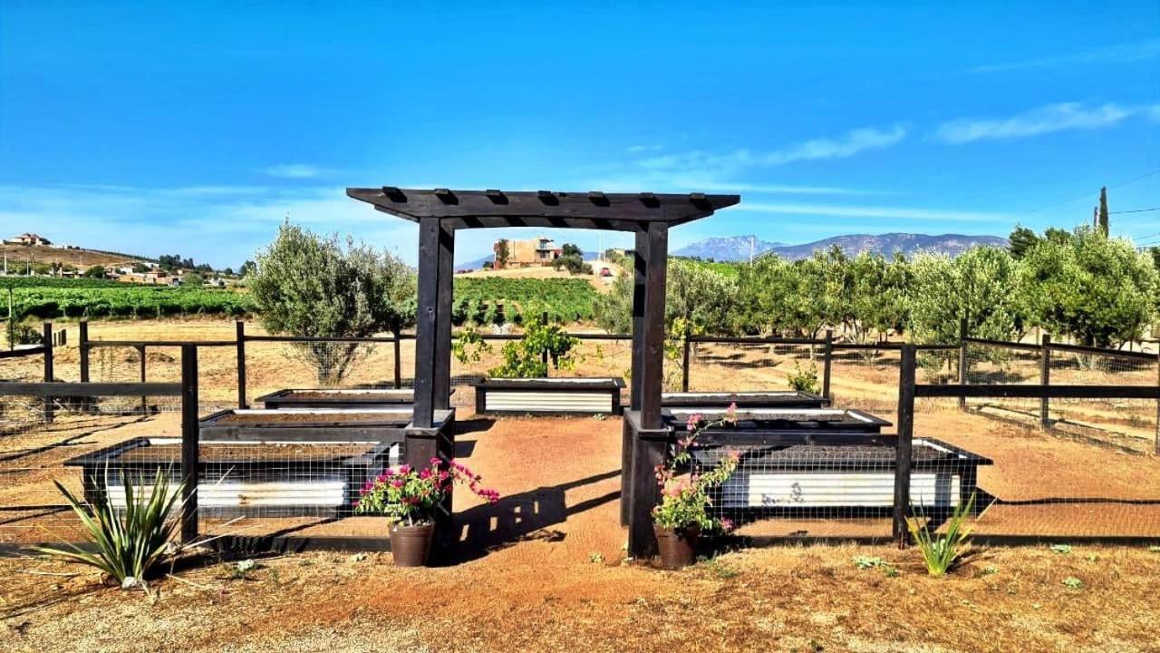 Finca Vidandrei Casa Eucalipto Valle de Guadalupe Esterno foto