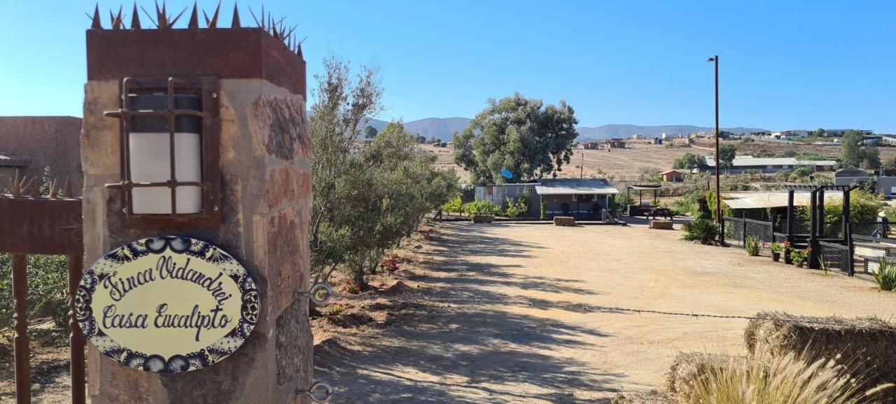 Finca Vidandrei Casa Eucalipto Valle de Guadalupe Esterno foto