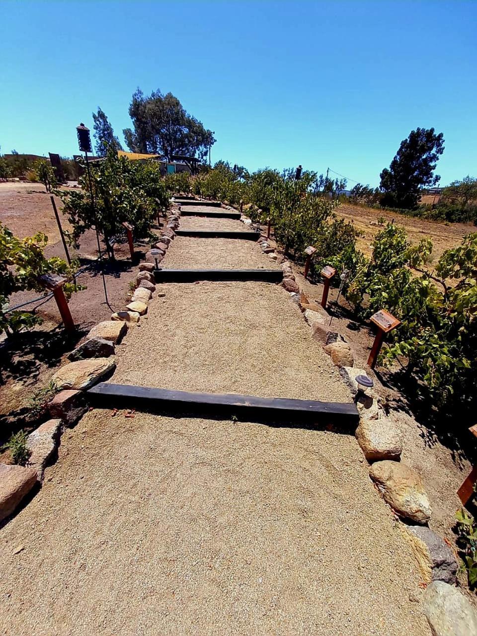 Finca Vidandrei Casa Eucalipto Valle de Guadalupe Esterno foto