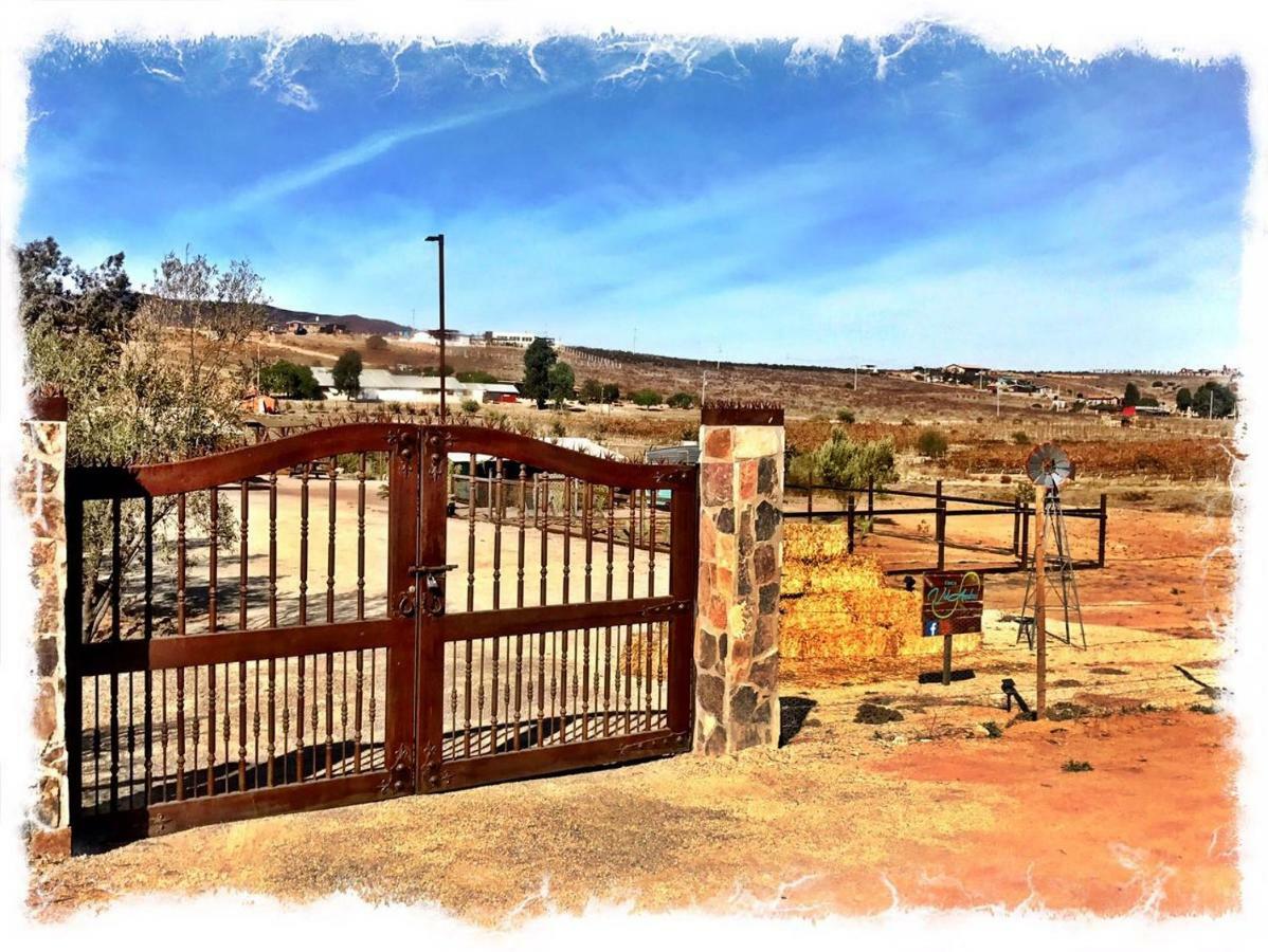 Finca Vidandrei Casa Eucalipto Valle de Guadalupe Esterno foto