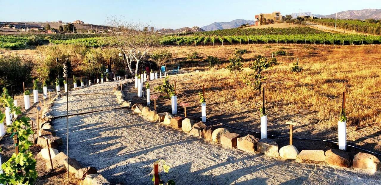 Finca Vidandrei Casa Eucalipto Valle de Guadalupe Esterno foto